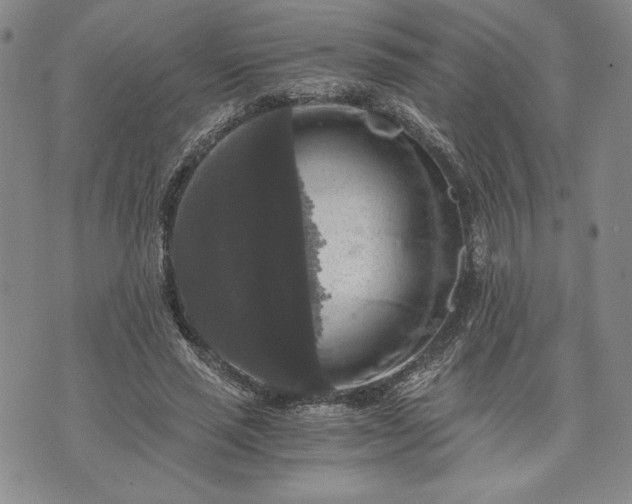 X0000072960637200608041154