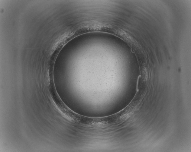 X0000072960638200608041154