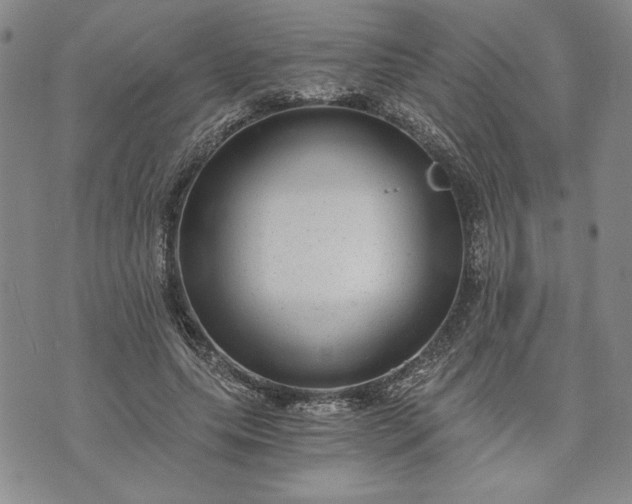 X0000072960639200608041154