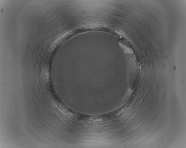 X0000072960640200608041154