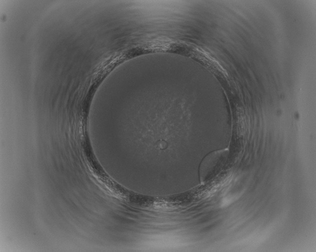 X0000072960641200608041154