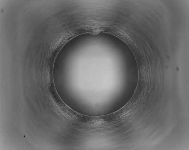 X0000072960642200608041154