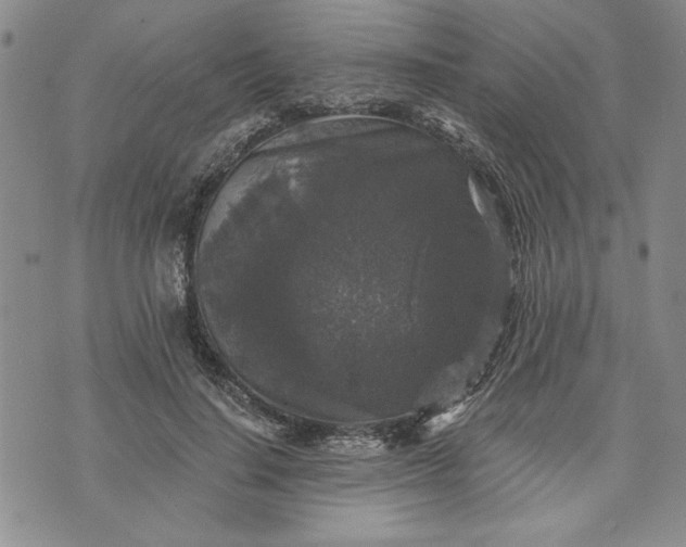 X0000072960644200608041154