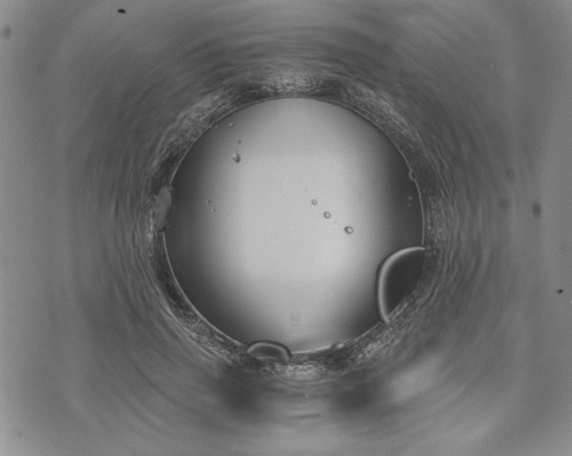 X0000072960645200608041154