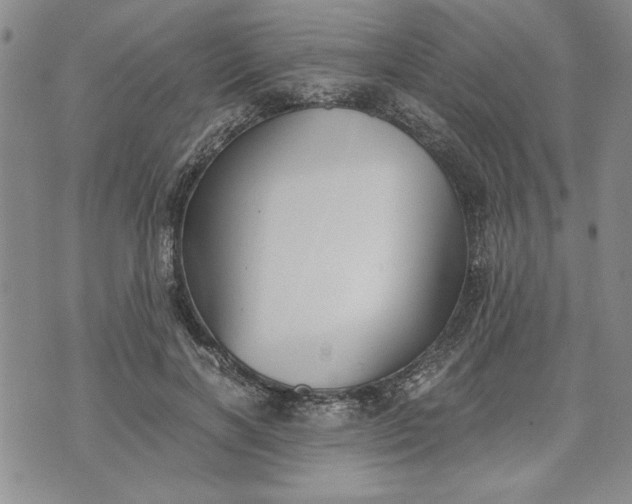 X0000072960646200608041154