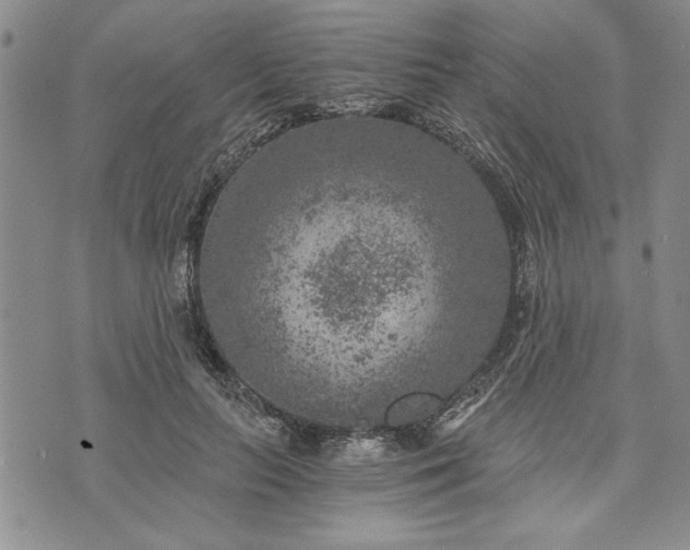 X0000072960647200608041154