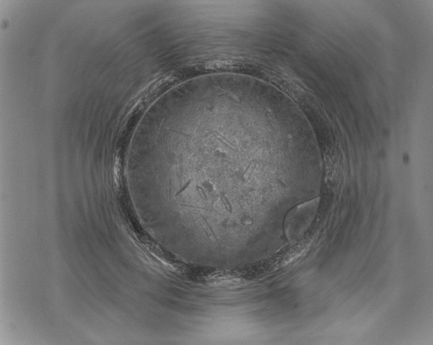 X0000072960648200608041154