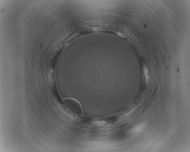 X0000072960650200608041154