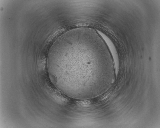 X0000072960652200608041154