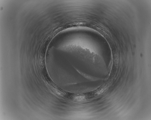 X0000072960653200608041154