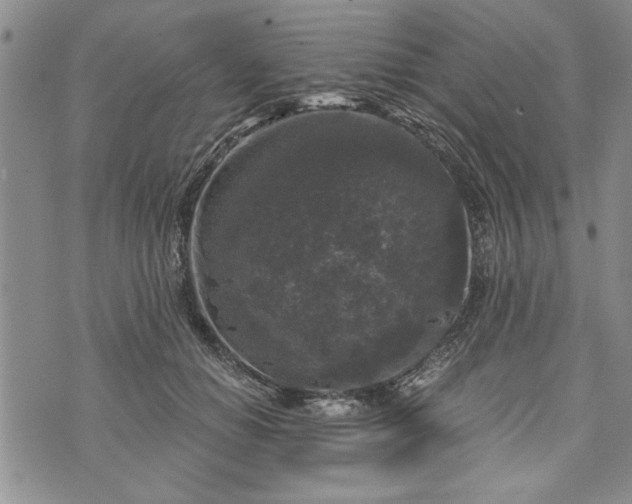 X0000072960654200608041154