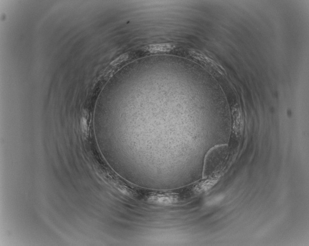 X0000072960655200608041154