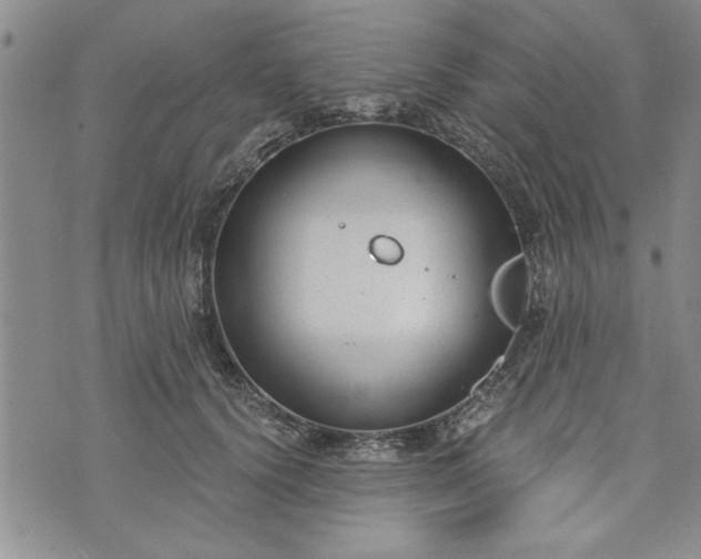 X0000072960656200608041154