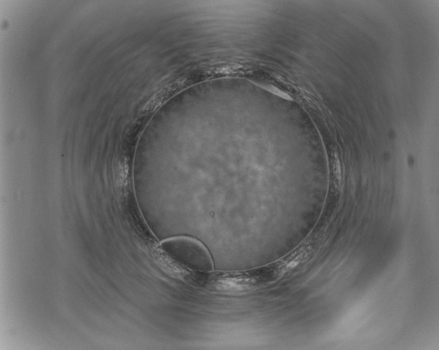 X0000072960657200608041154