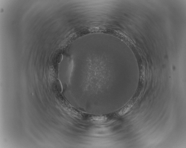 X0000072960659200608041154