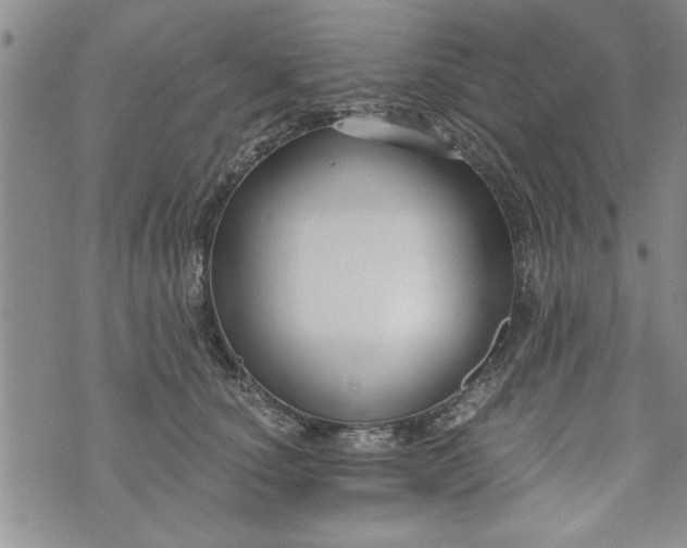 X0000072960660200608041154