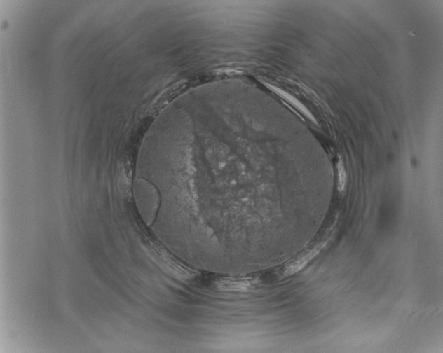 X0000072960661200608041154