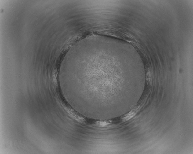 X0000072960662200608041154