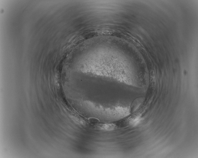 X0000072960663200608041154