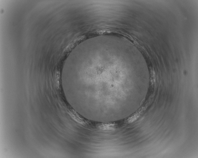 X0000072960664200608041154