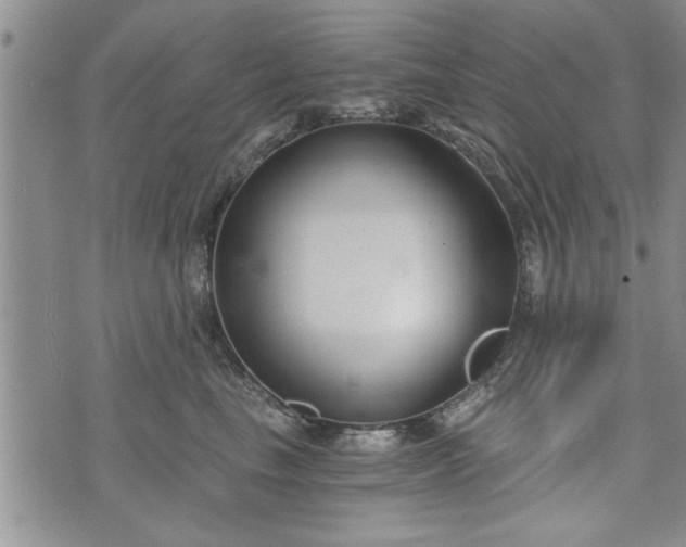 X0000072960665200608041154