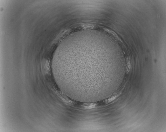 X0000072960667200608041154