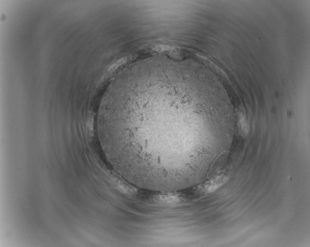 X0000072960668200608041154