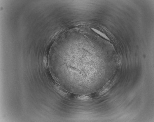 X0000072960669200608041154