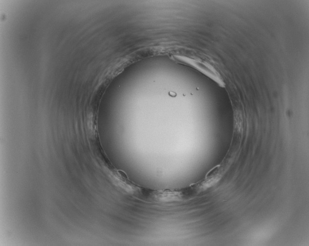 X0000072960670200608041154