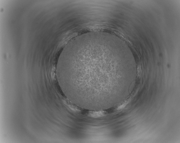 X0000072960671200608041154