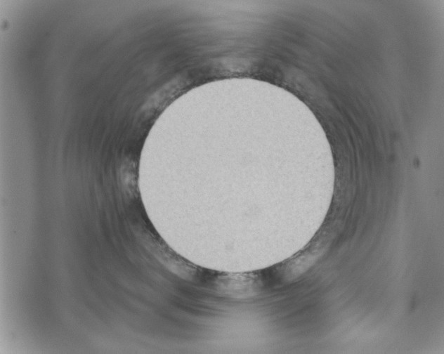 X0000072960672200608041154