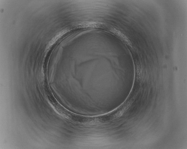 X0000072960674200608041153