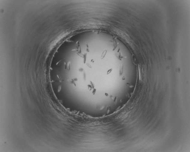 X0000072960675200608041153