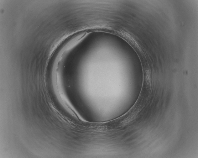 X0000072960676200608041153