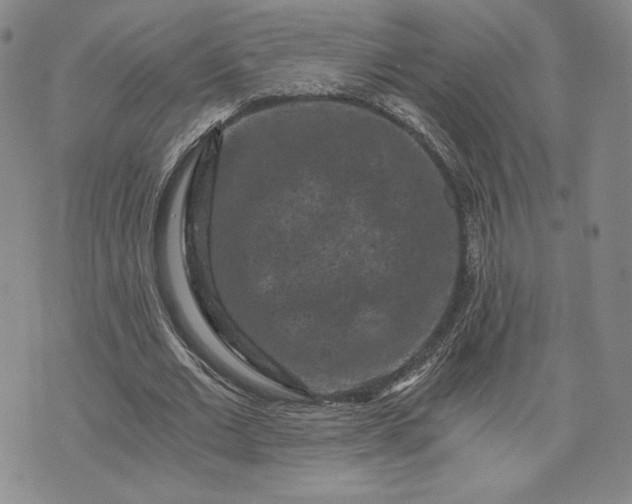 X0000072960677200608041153