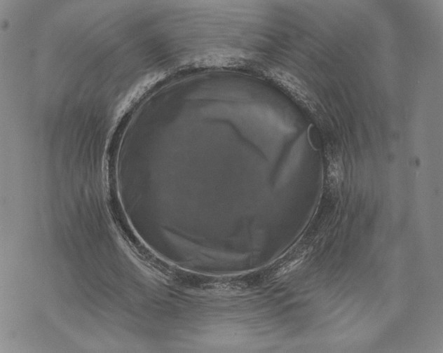 X0000072960678200608041153