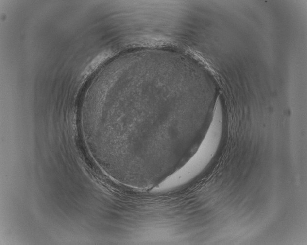 X0000072960679200608041153