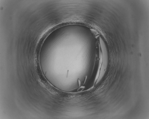 X0000072960680200608041153