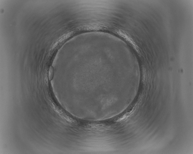 X0000072960681200608041153