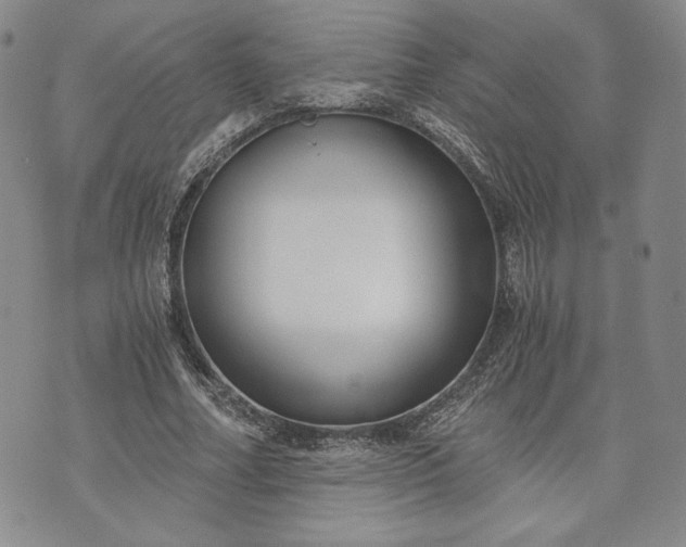 X0000072960682200608041153