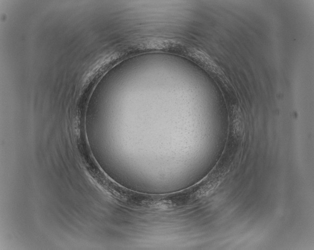 X0000072960683200608041153