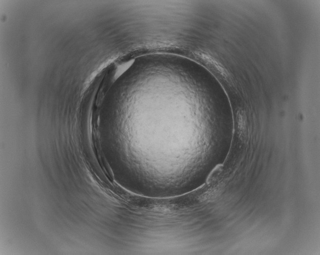 X0000072960684200608041153