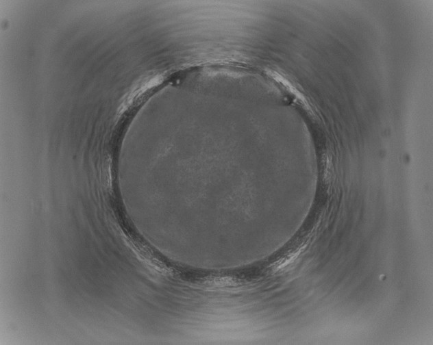 X0000072960685200608041153