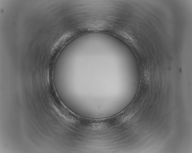 X0000072960686200608041153