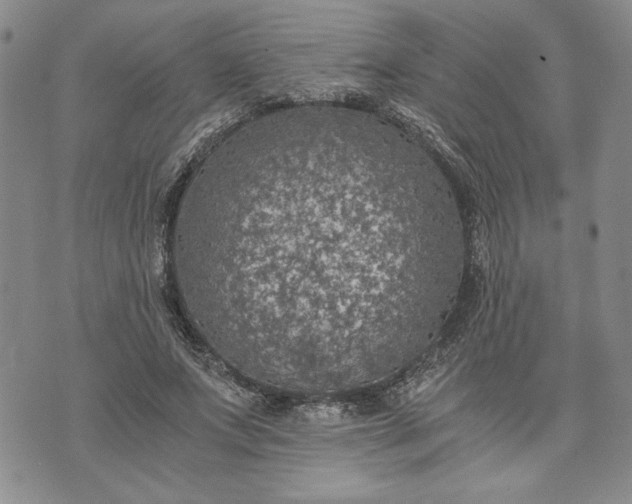 X0000072960687200608041153