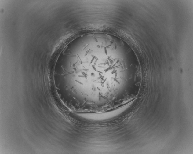 X0000072960688200608041153