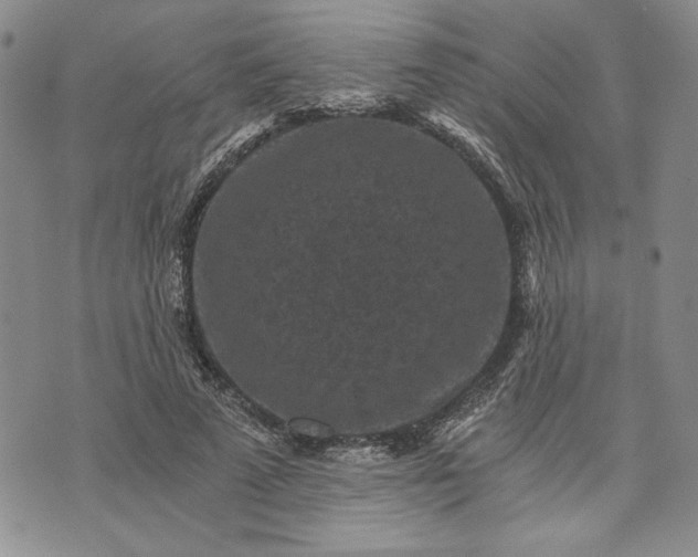 X0000072960689200608041153