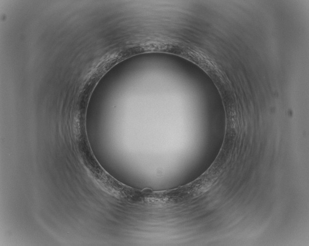 X0000072960690200608041153