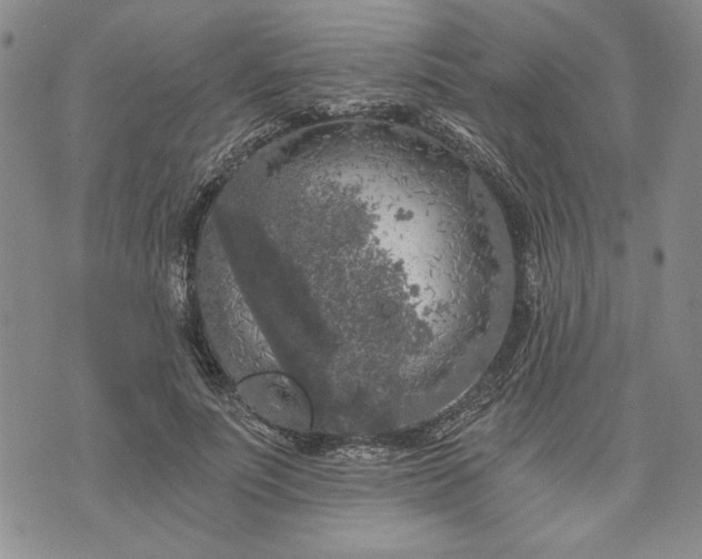 X0000072960691200608041153