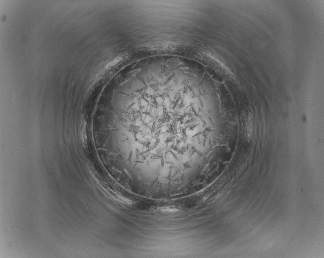 X0000072960692200608041153